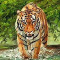 Amur Tiger Painting