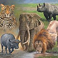 Africa's Big Five
