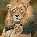 Lion And Cub